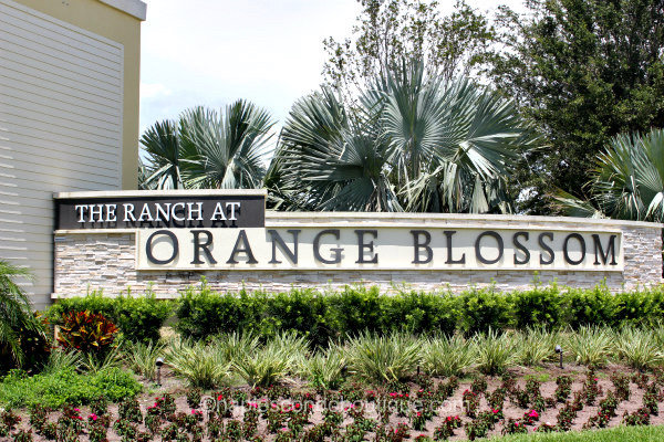 Single-family home in The Ranch at Orange Blossom community in Northeast Naples, Florida - homeowners insurance guidance from Insurance Specialists of SW Florida